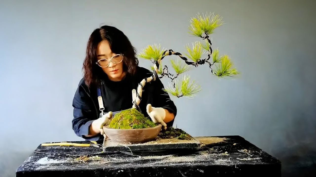 How to bend a bonsai - great bonsai bending skills #224