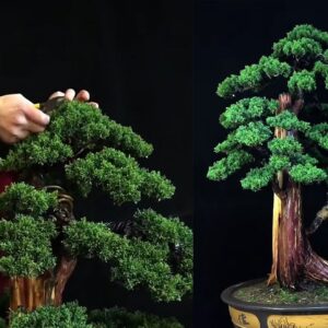 How to bend a bonsai - great bonsai bending skills #229