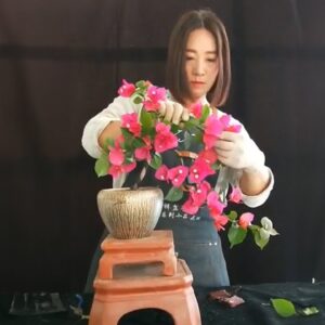 How to bend a bonsai - great bonsai bending skills #232