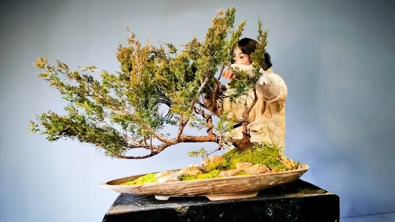 How to bend a bonsai - great bonsai bending skills #233 / Love Bonsai