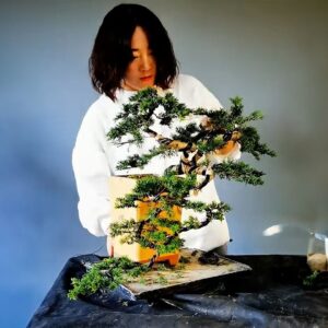 How to bend a bonsai - great bonsai bending skills #239