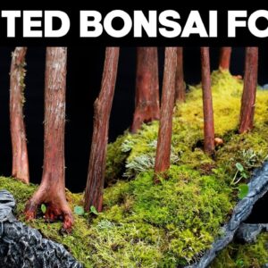 How To Make A Slanted Bonsai Forest