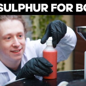 How to Make Lime Sulphur for Bonsai