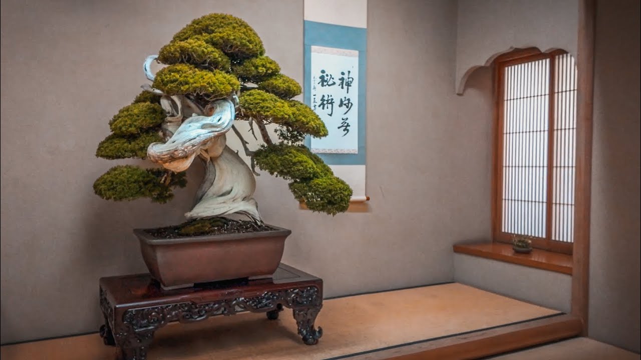 Japan's Best Bonsai Gardens in 2024