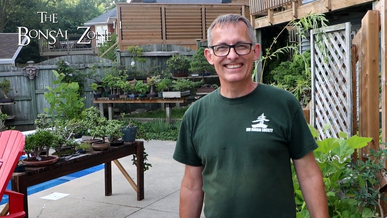 Michael's Backyard Bonsai Tour, The Bonsai Zone, July 2024