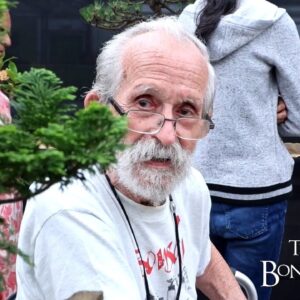 The Misseto Bonsai Show, The Bonsai Zone, June 2024