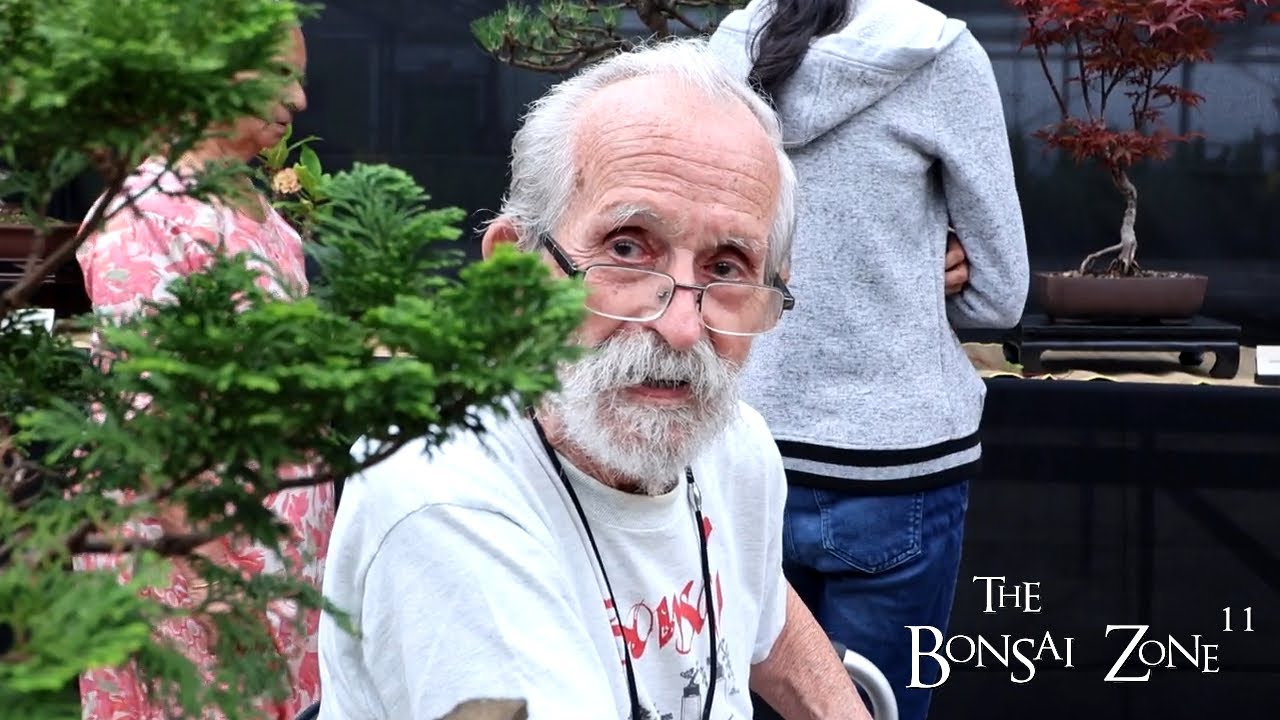 The Misseto Bonsai Show, The Bonsai Zone, June 2024