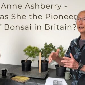 Anne Ashberry - Was she the pioneer of bonsai in Britain?