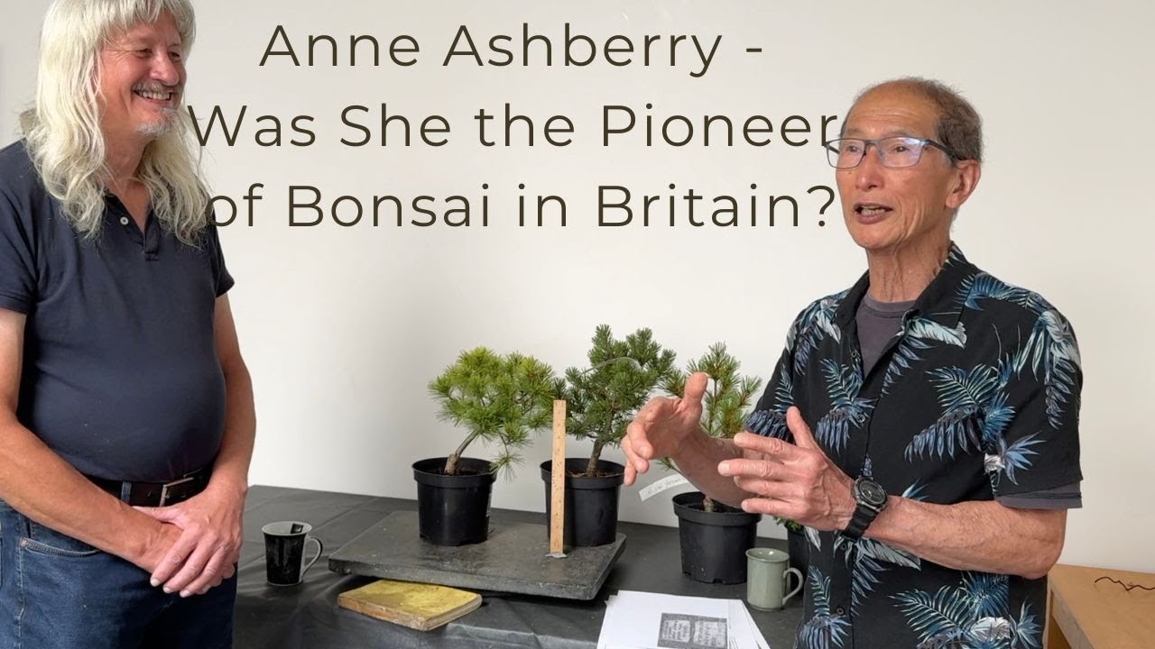 Anne Ashberry - Was she the pioneer of bonsai in Britain?