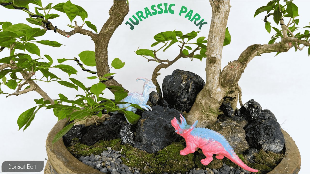 Creating a Small Garden For The "Dinosaurs"