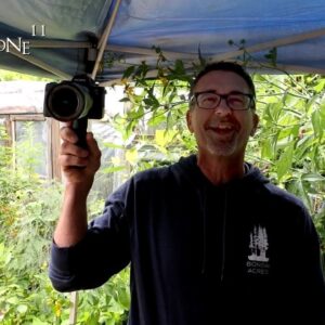 Dave Visits plus Pruning the VW Penjing, The Bonsai Zone, Aug 2024