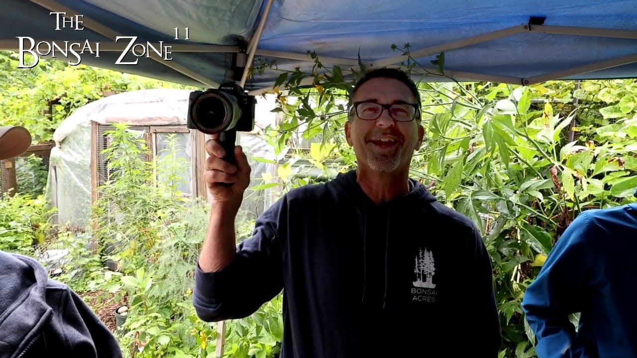 Dave Visits plus Pruning the VW Penjing, The Bonsai Zone, Aug 2024