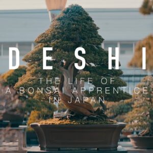 Deshi - The Life of a Bonsai Apprentice in Japan