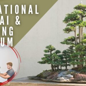 Donating a Bonsai to the US National Bonsai & Penjing Museum