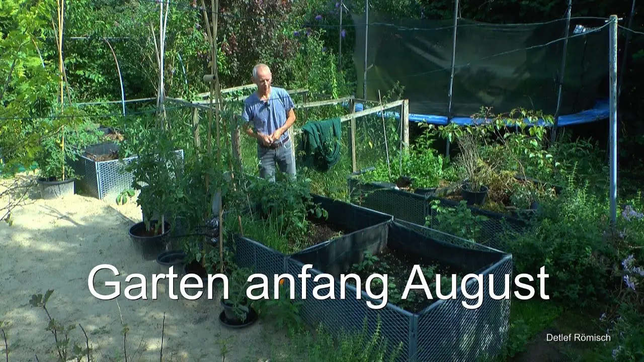 Garden in Early August and Plant Propagation Insights