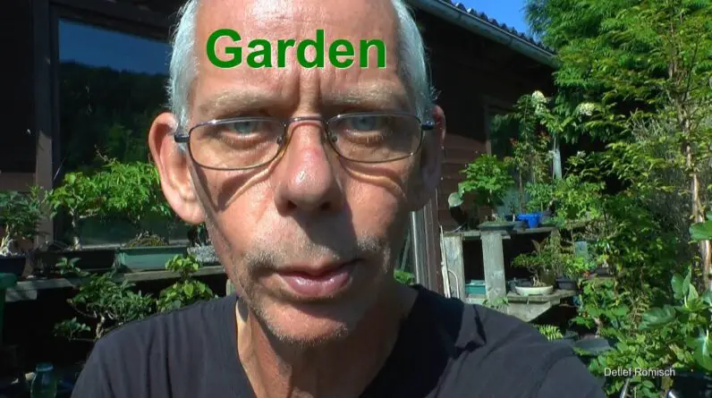 Garten Klimbim bei der Hitze in Deutschland mitte August