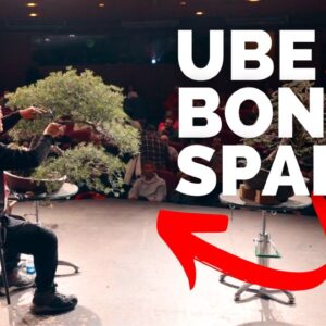 Hanging with the Bonsai Masters | UBE 2024 Spain