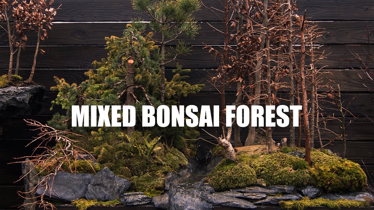 How to make a Mixed Bonsai Forest with a Waterfall