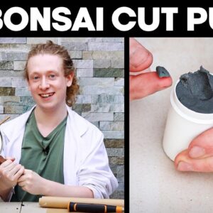 How To Make Cut Putty For Bonsai Trees