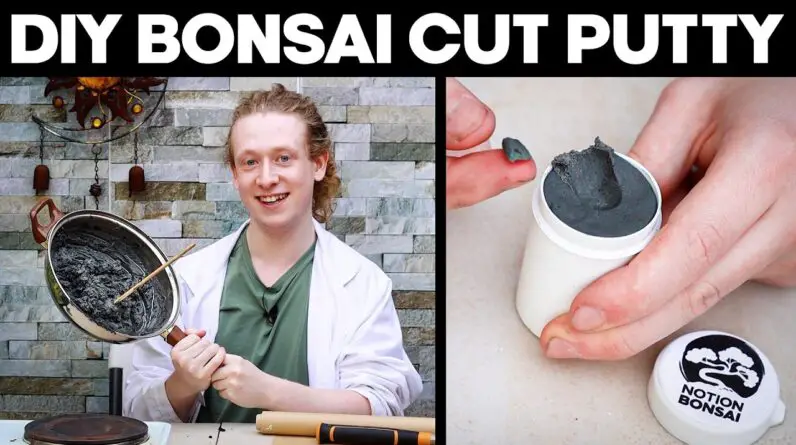 How To Make Cut Putty For Bonsai Trees