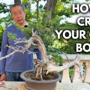 How to Turn a Garden Juniper into a Respectable Bonsai