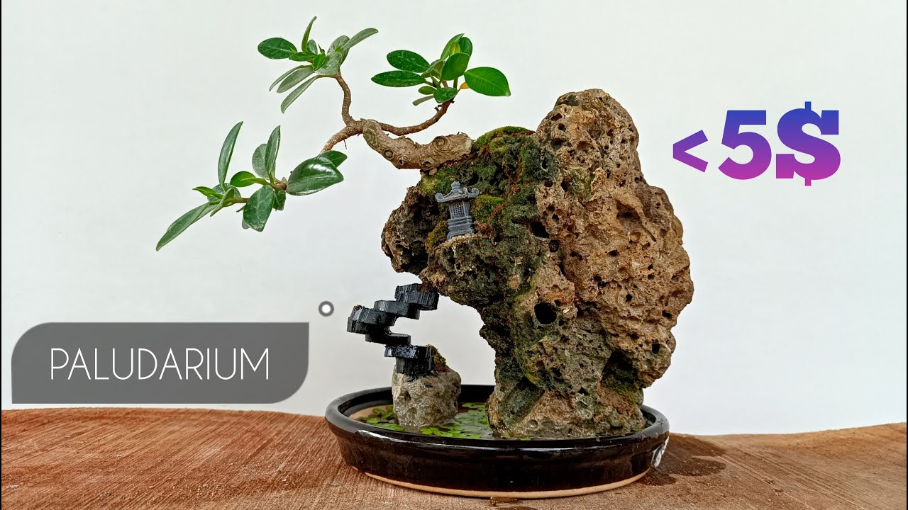 Making an Paludarium With Simple Islands