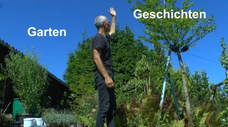 Garten Reise durch die Pflanzen im Topf und Schale mit Bonsai und so Gießen im Sommer