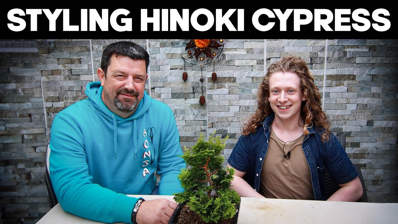 Styling a Hinoki Cypress Bonsai with Chris Marshall