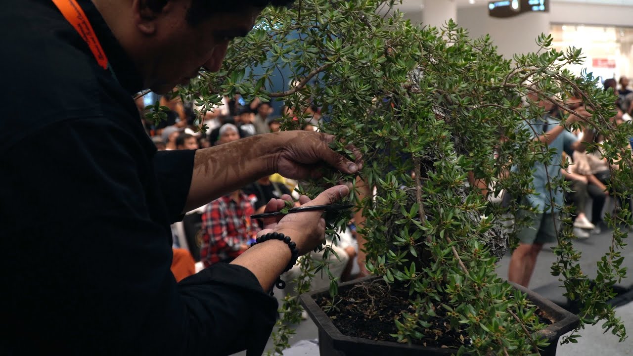 Sudhir Jadhav Bonsai demo