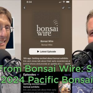 Bonsaify | Bonsai Wire - Get Excited about Bonsai Exhibits, a video version of Bonsai Wire Podcast