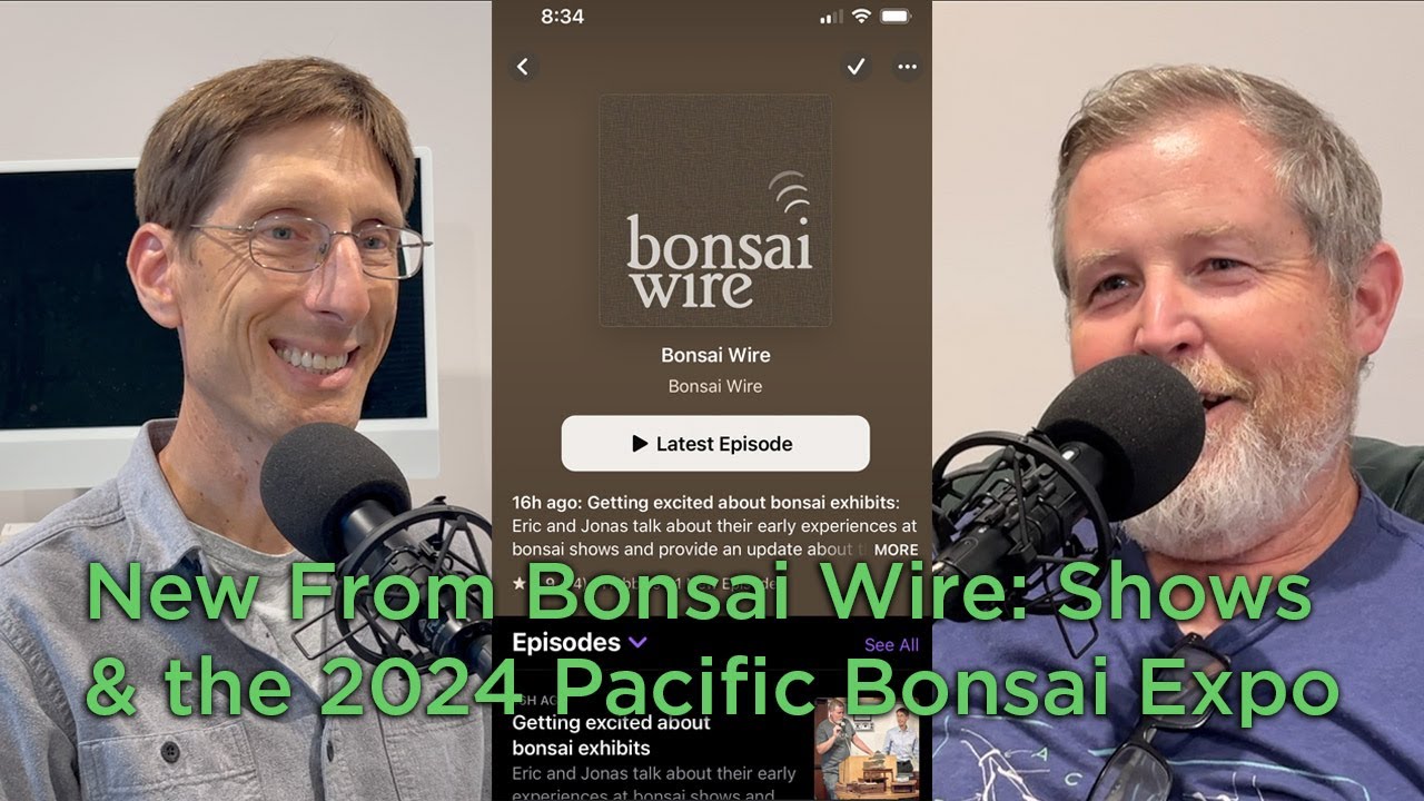 Bonsaify | Bonsai Wire - Get Excited about Bonsai Exhibits, a video version of Bonsai Wire Podcast