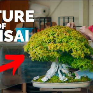 THE NATURE OF BONSAI