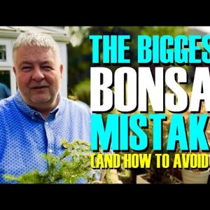 Tho BIGGEST Bonsai Mistake (And How To Avoid It)