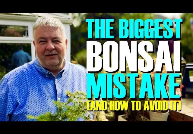 Tho BIGGEST Bonsai Mistake (And How To Avoid It)