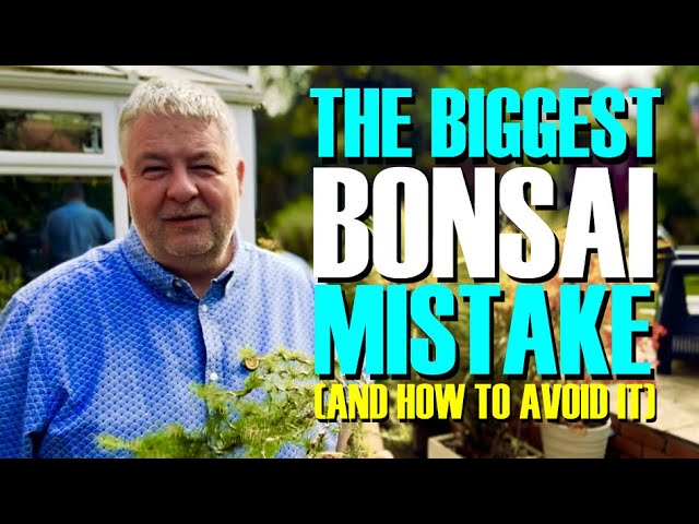 Tho BIGGEST Bonsai Mistake (And How To Avoid It)