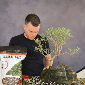 We are The Bonsai Supply is live!