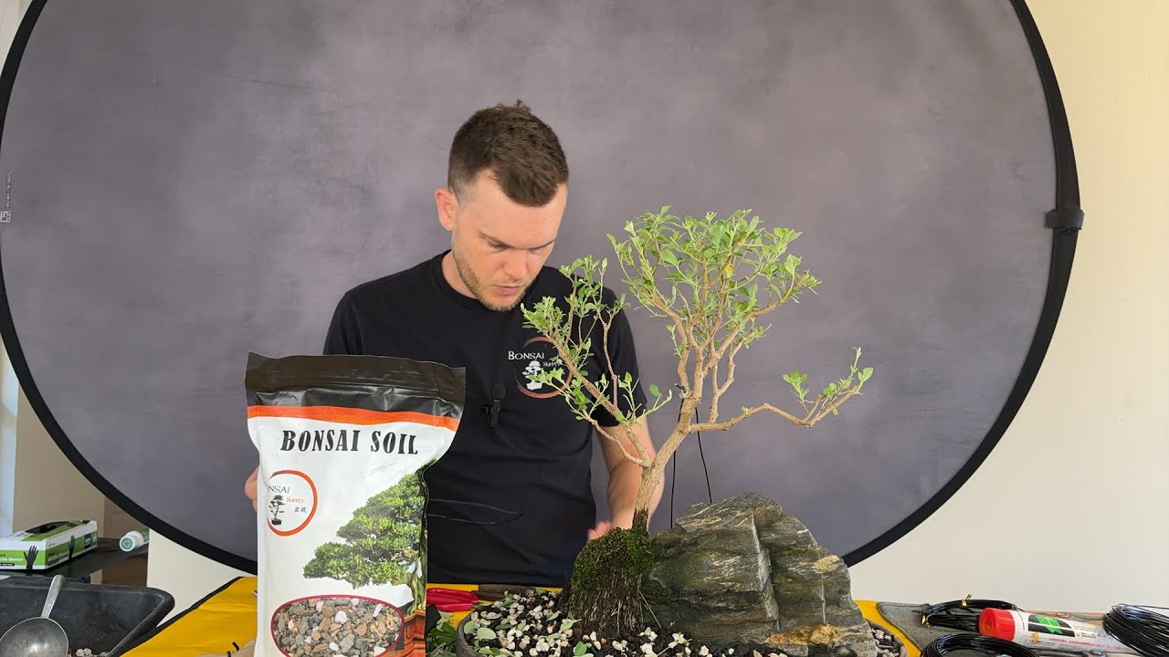 We are The Bonsai Supply is live!