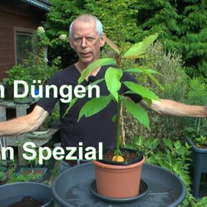 Garten Kokoserde, Kaffeesatz, Landerde, Goldsaft und was geht jetzt und wie wächst es in den Töpfen