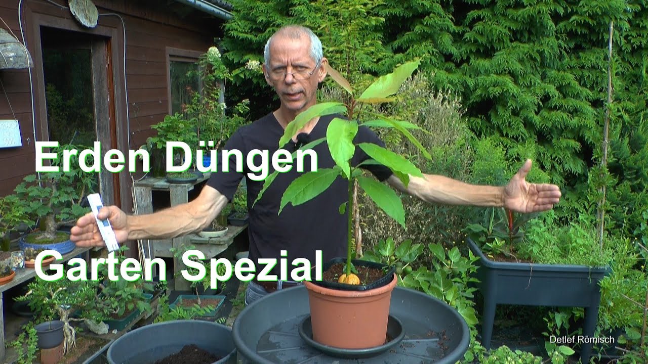 Garten Kokoserde, Kaffeesatz, Landerde, Goldsaft und was geht jetzt und wie wächst es in den Töpfen