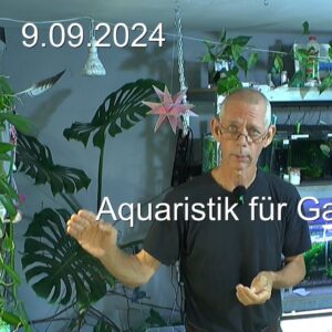 Aquaristik mit Caridina Weichwasser Garnelen Zwerggarnelen und wir lernen weiter