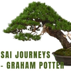 8 Bonsai Journeys   Part 1   Graham Potter