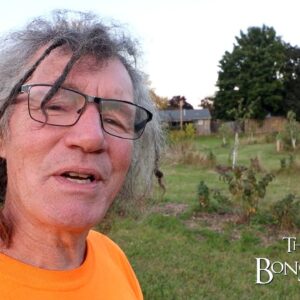 An Update to the Community Orchard, The Bonsai Zone, Sept 2024