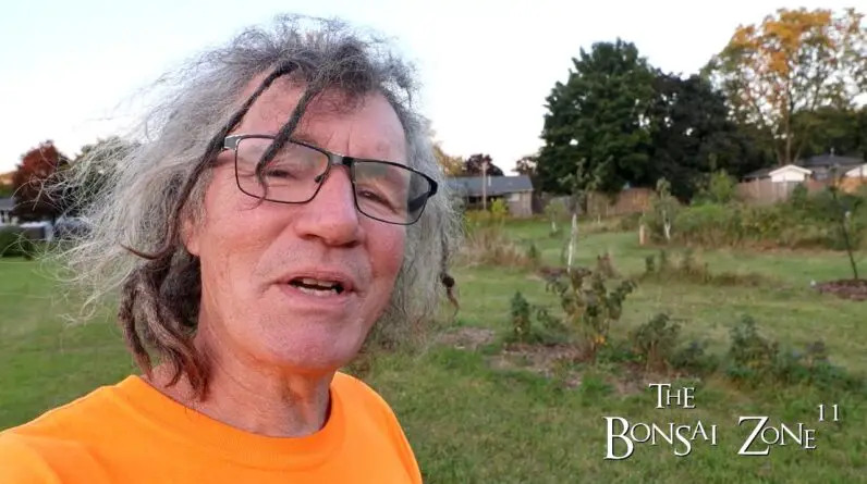 An Update to the Community Orchard, The Bonsai Zone, Sept 2024