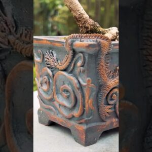 Beautiful Bonsai Pots: Dragon Pot by Donna George