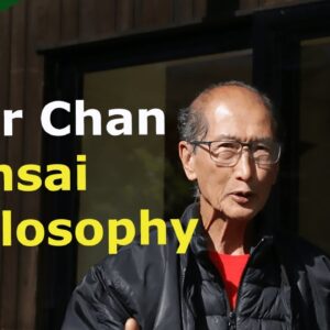 Bonsai: In conversation with Peter Chan (Herons Bonsai)