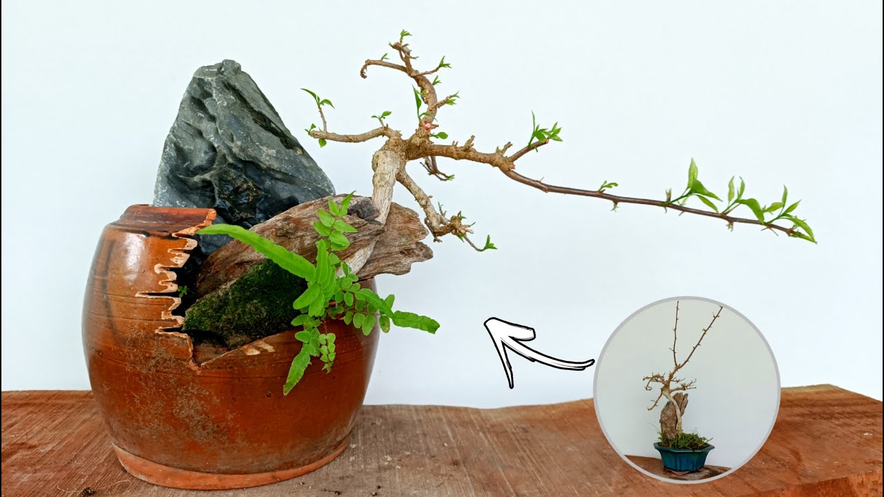 Creating Plant Pot From Discarded Items