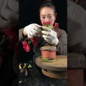 Artistic bonsai pruning techniques! #12 #lovebonsai #bonsai #bonsaiart #bonsaitree