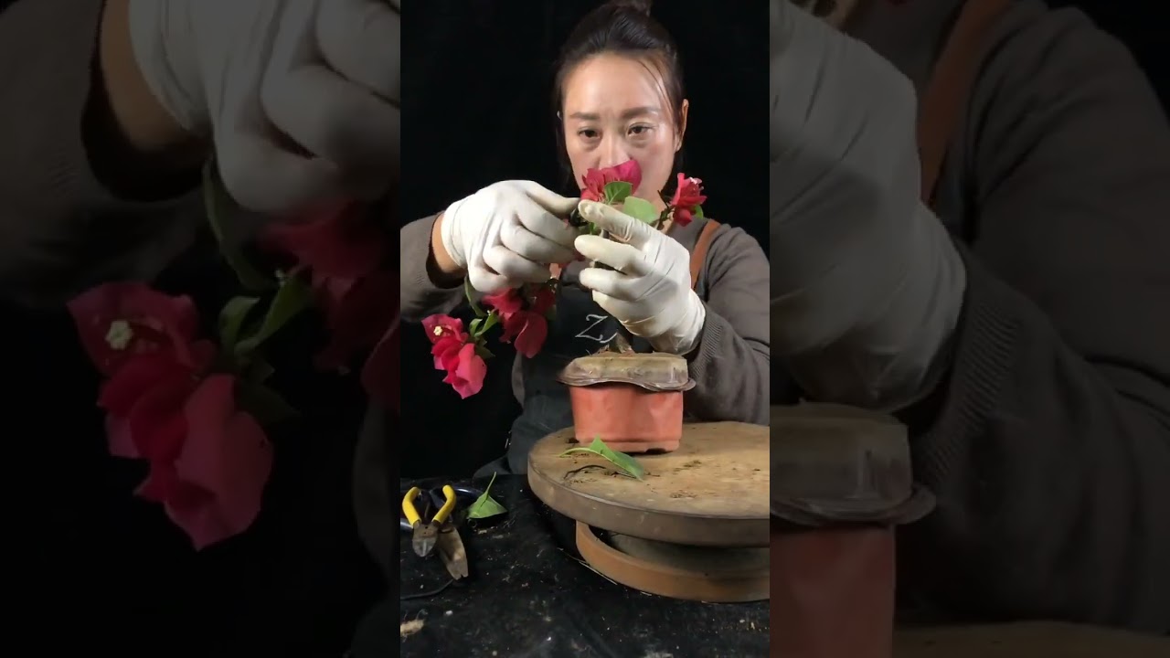 Artistic bonsai pruning techniques! #12 #lovebonsai #bonsai #bonsaiart #bonsaitree