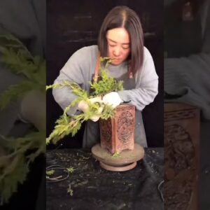 Artistic bonsai pruning techniques! #15 #lovebonsai #bonsai #bonsaiart #bonsaitree