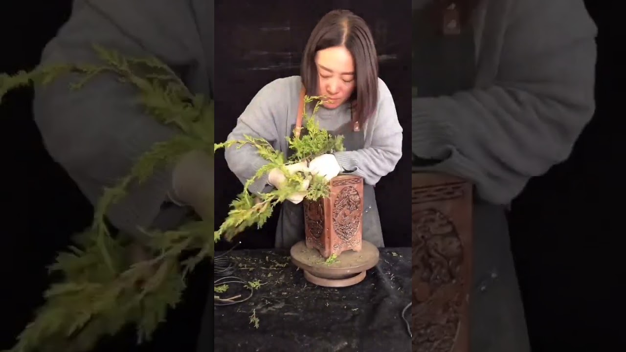 Artistic bonsai pruning techniques! #15 #lovebonsai #bonsai #bonsaiart #bonsaitree